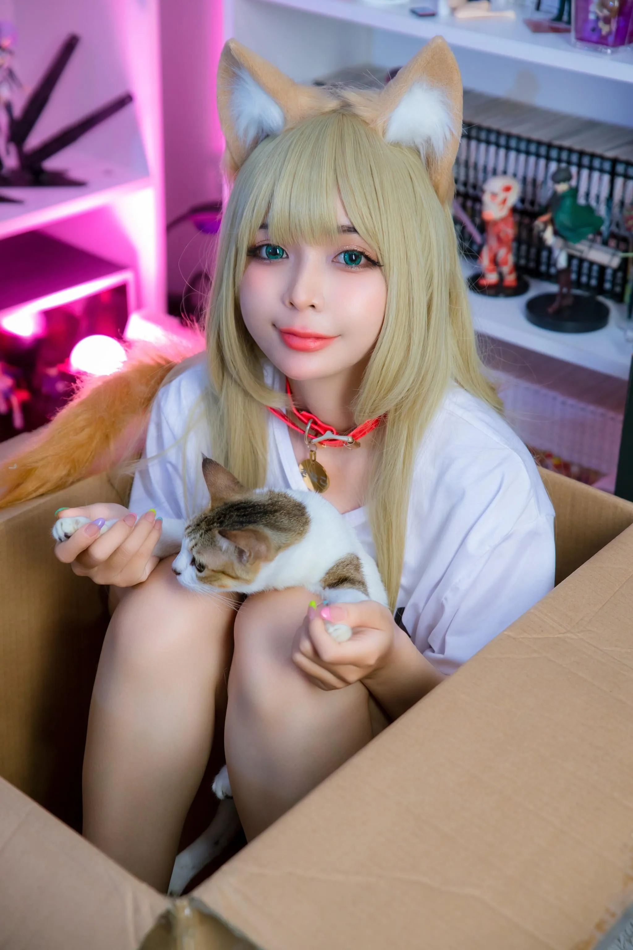 UmekoJ – NO.048 Kinako Neko [COMPLETE SET]-Kinako HD [71P]插图1